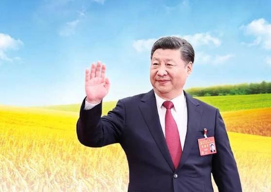 中共中央国务院关于全面推进乡村振兴加快农业